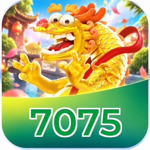 Cassino 7075